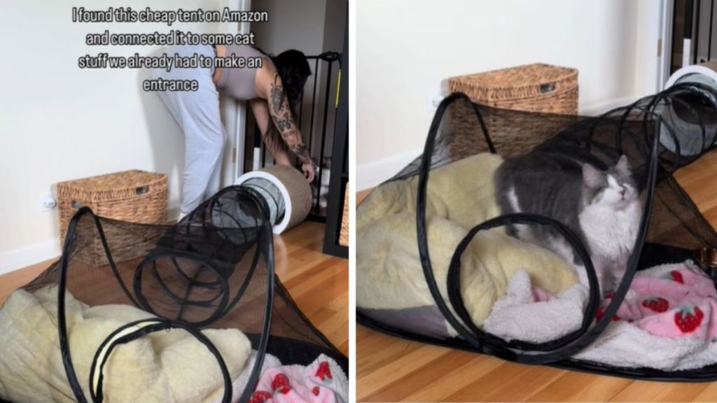 Left image shows a makeshift contraption that allows a blind cat into a "cat-free" zone. Right image shows Archie (the cat) sitting in the tent area in the center of the room.