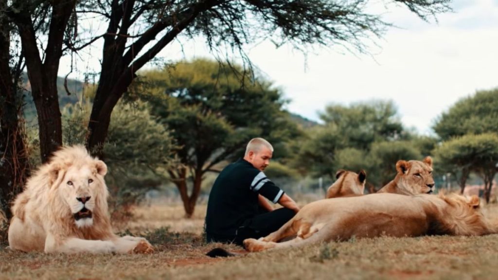 Image shows Dean Schneider interacting with wild lions at the Hakuna Mipaka Oasis in South Africa.