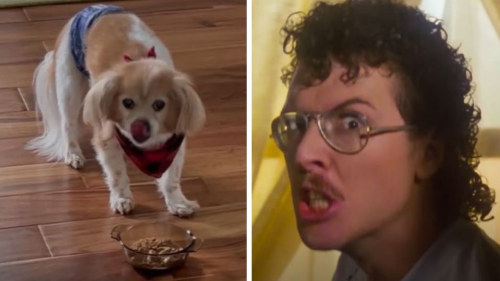 Left image shows Red, a senior dog, that won't eat unless Weird Al's "Eat It" is playing. Right image shows Weird Al Yankovic.