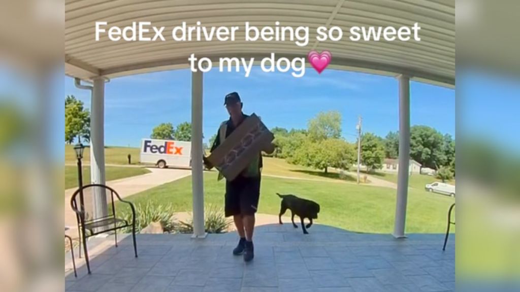 A FedEx driver carrying a package while a dog follows him.