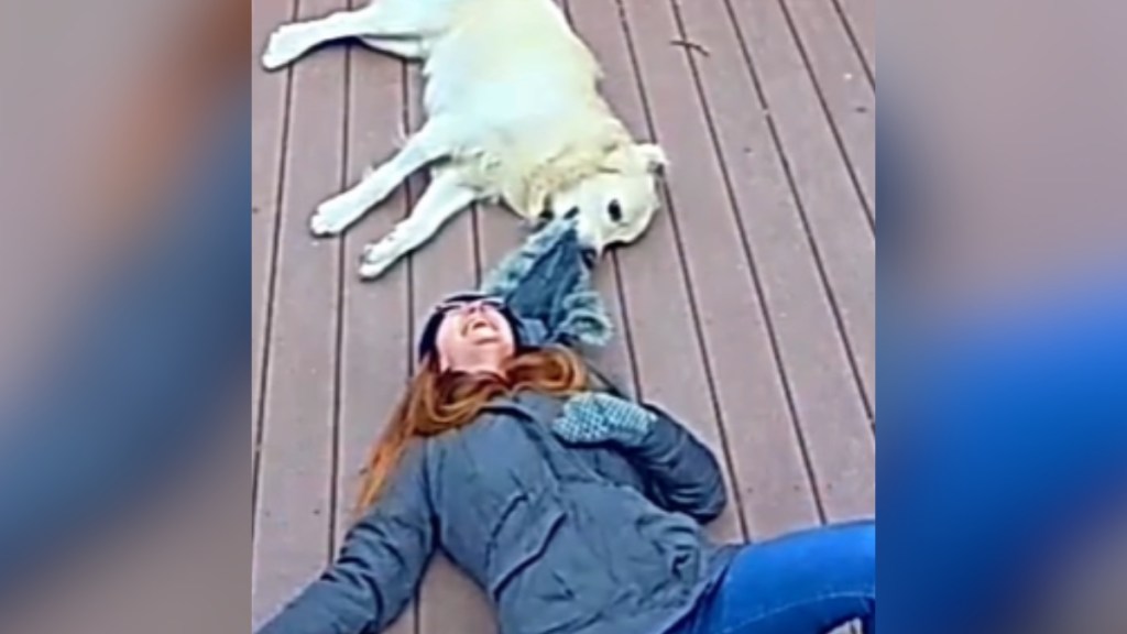 A woman lays on her deck, laughing. Her Golden Retriever pulls on the hood of her jacket.