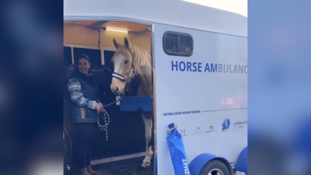 External view of a horse ambulance whose door is open. Inside we see a woman smiling as she stands with a light horse