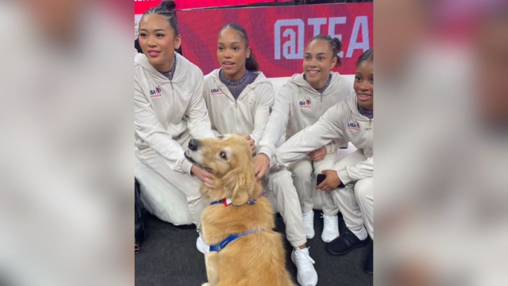 A golden retriever getting pet by four gymnasts.