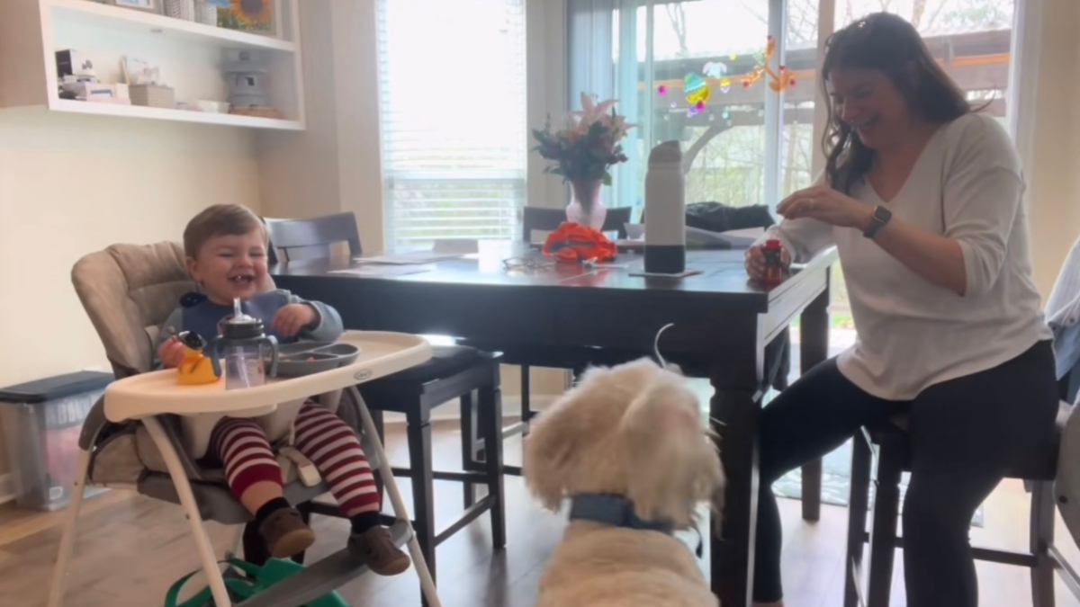 Baby And Dog See Bubbles And Hysterical Belly Laughs Ensue