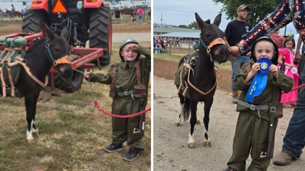 Images show a young boy and his mule during and after the Missouri state fair costume contest.