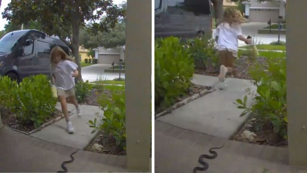 Left image shows a girl running onto a porch in Florida. Right image shows the girl running away after she sees a snake on the porch.