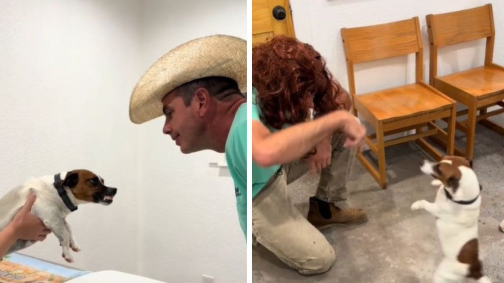 Left image shows a male vet with a dog that doesn't like men. Right image shows the same vet in a disguise as a woman playing with the dog.