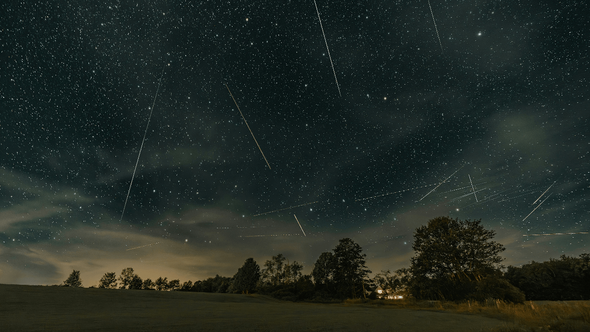 Perseid Meteor Shower Will Bring 50100 Shooting Stars An Hour