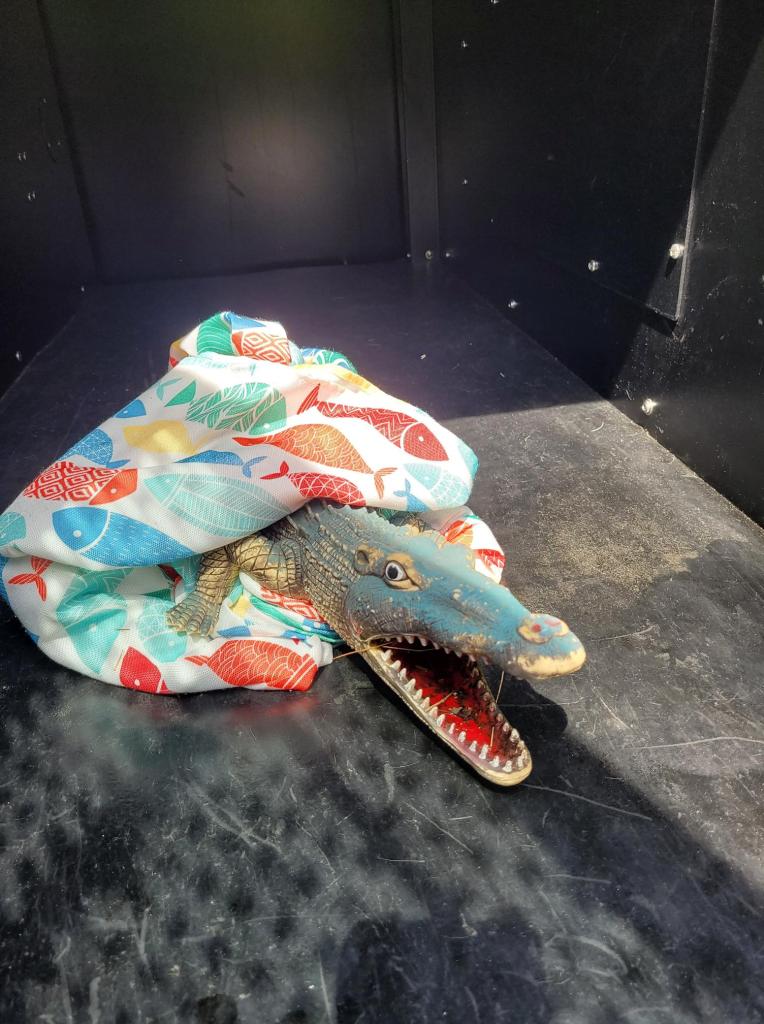 Close up of a toy alligator wrapped in a blanket with colorful fish on it. 