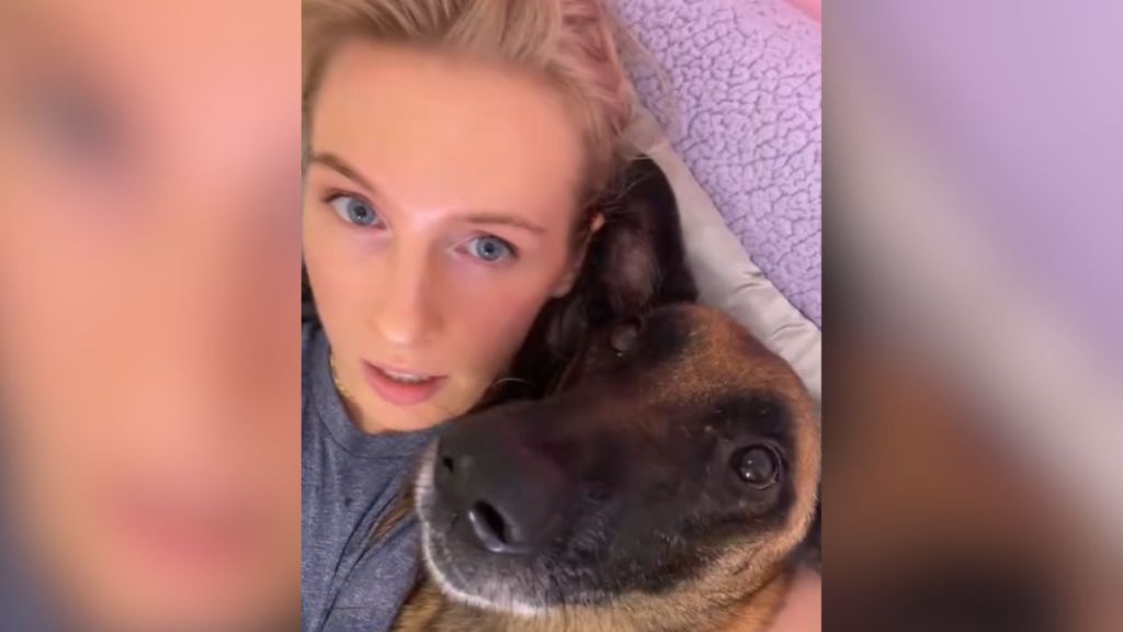 A woman cuddling with her Belgian Malinois.