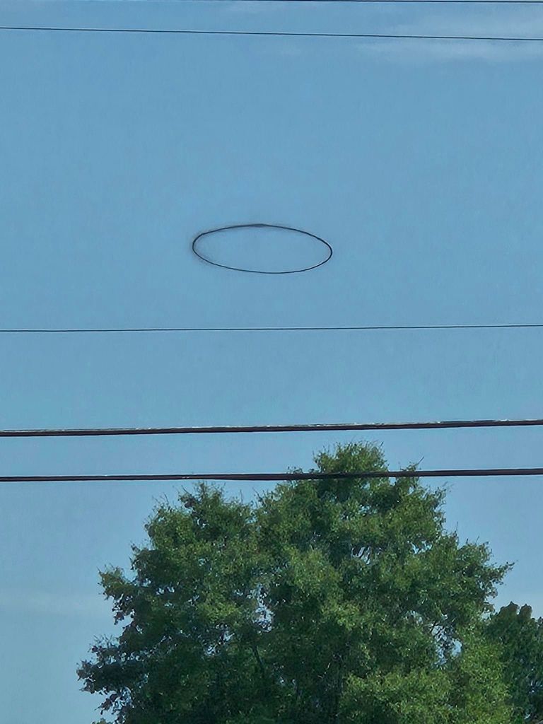 Closer view of a black ring hanging in the air above a power line and trees.