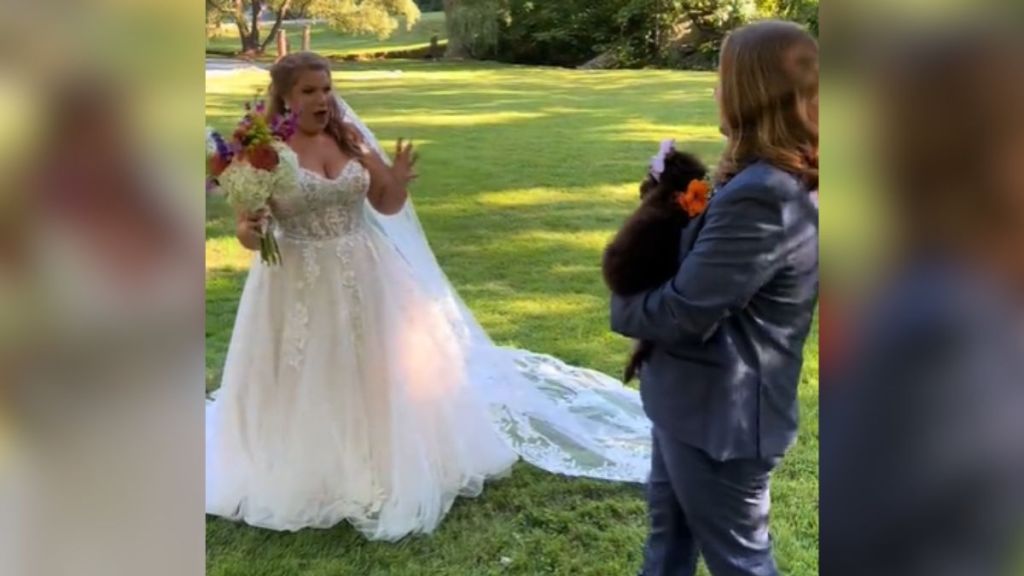 A bride looking surprised as the groom carries a puppy in his arms.