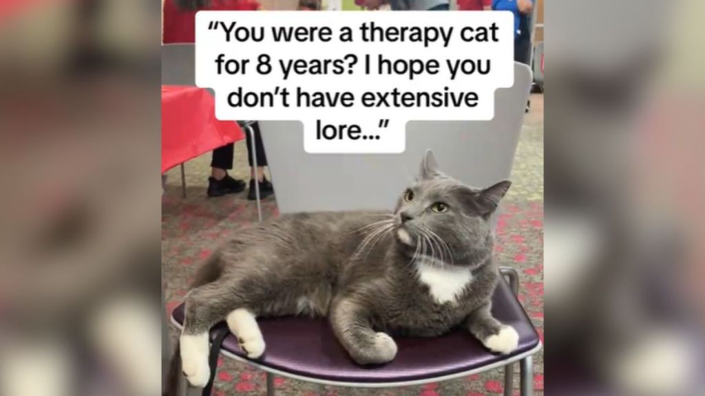 A grey cat laying down on a chair.