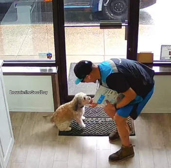 Delivery driver and dog