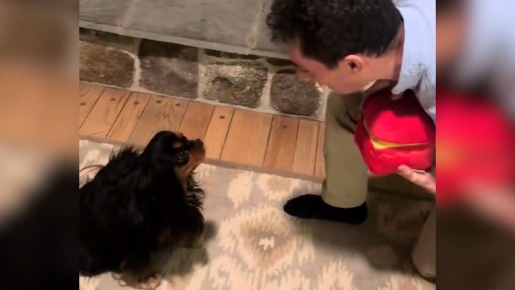 A man bending down on one knee in front of a small dog.