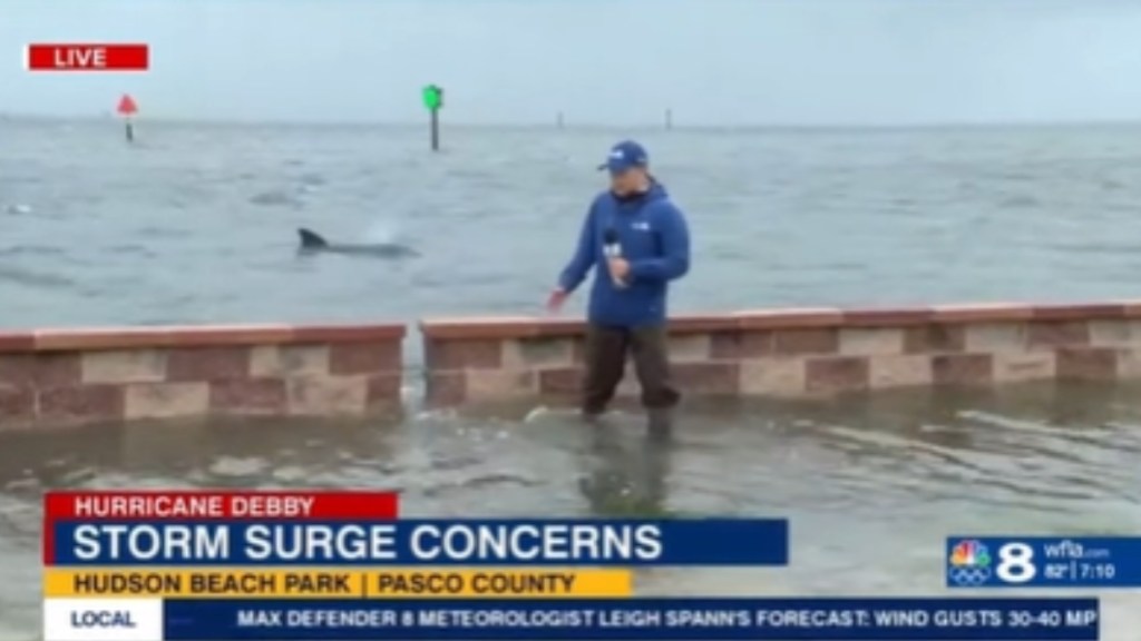 A news broadcaster stands in flooded water. Behind him, a dolphin peaks out of the water