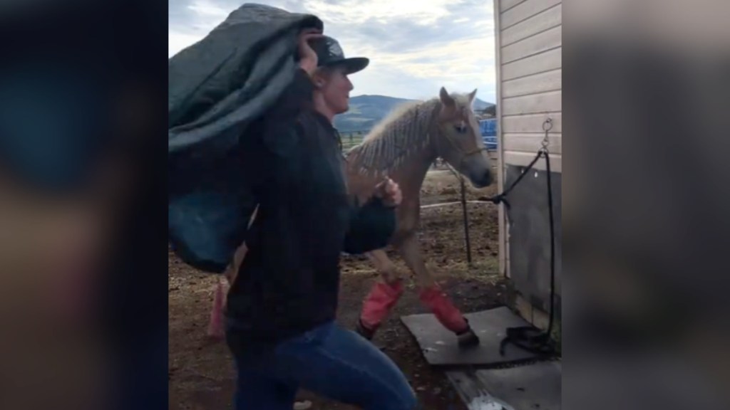 Side-view of a woman running as she holds a blanket above her head. Behind her nearby is a horse watching on, confused