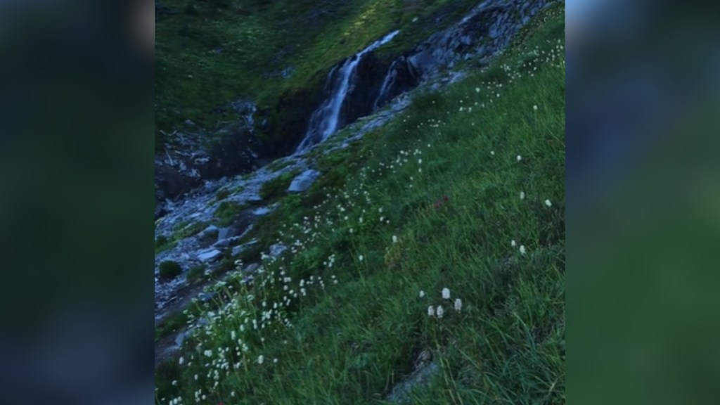 View of a meadow with a small, beautiful waterfall. Flowers are in the greenery