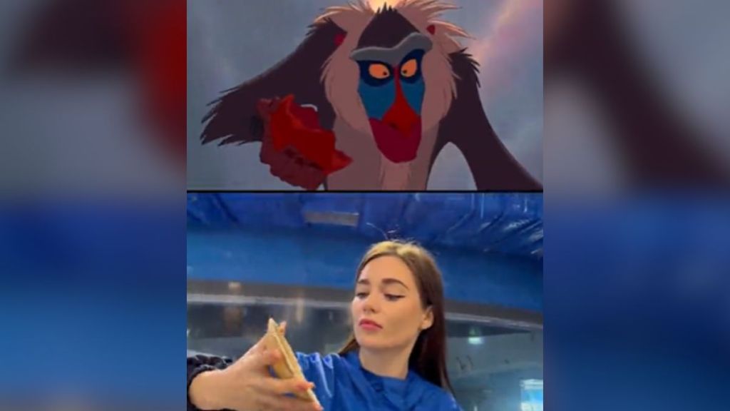 A scene from "The Lion King" compared to a woman's parody of it.