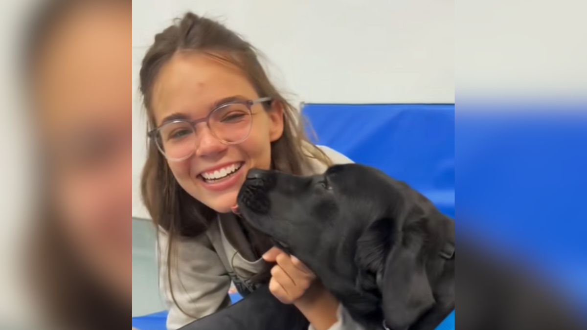 Woman tells how she found her first service dog