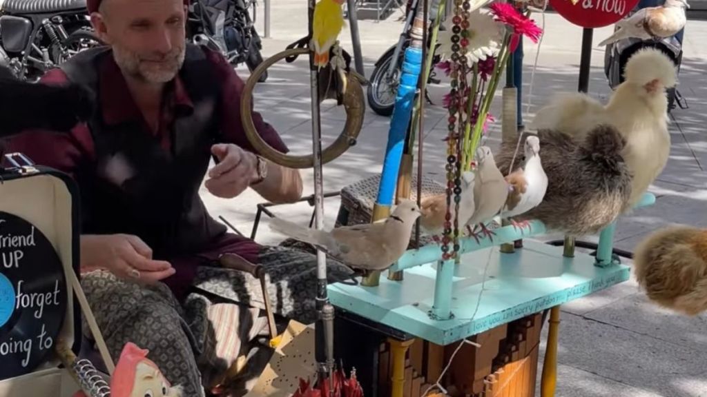 Image shows a street performer in Porto, Portugal with several tame, pet birds, playing a punch-card music box.