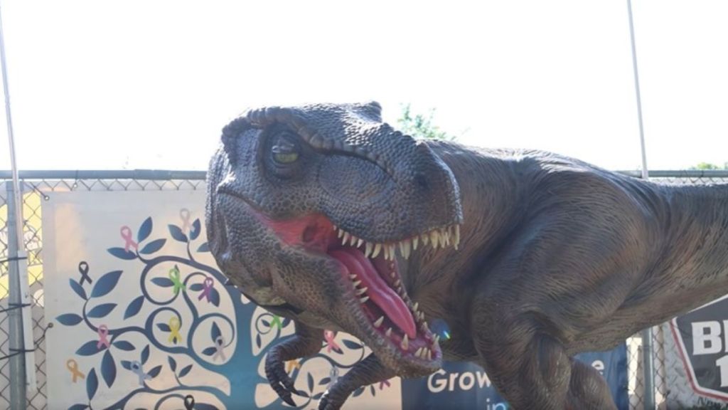 Image shows a life-size T-Rex who performs in a live dinosaur show at baseball games.