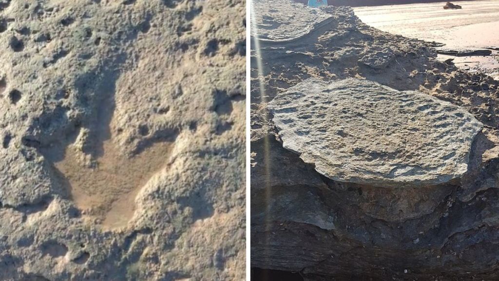 Left image shows a fossilized three-toed dinosaur footprint on the beaches at Broome in Australian. Right stock image shows prints on the beach that can only be seen during low tide.