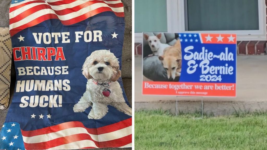 Left image shows a buff-colored cockapoo with the words, "Vote for Chirpa because humans suck." Right image shows a pair of bonded small dogs with the words, "Sadie-ala & Bernie 2024."