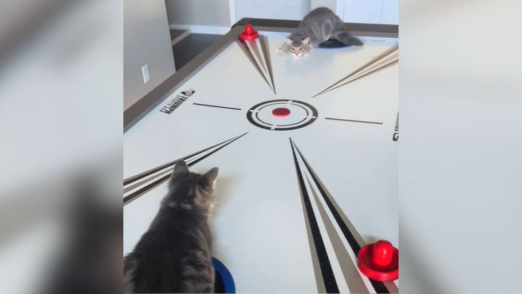 Two cats laying down on an air hockey table.