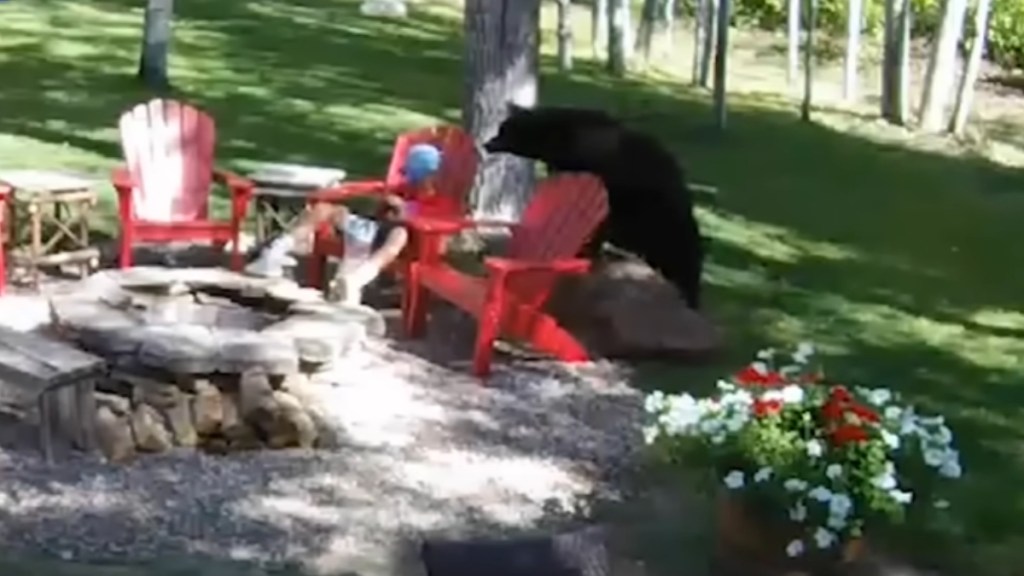 A big black bear sneaks up close to a boy sitting on a chair near a firepit