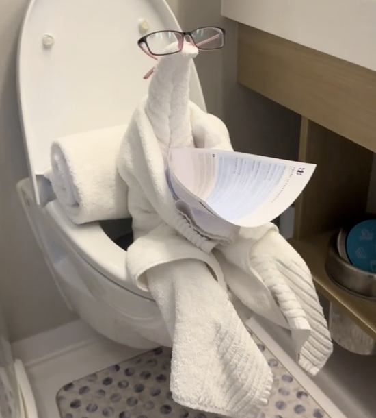 cruise ship towel art