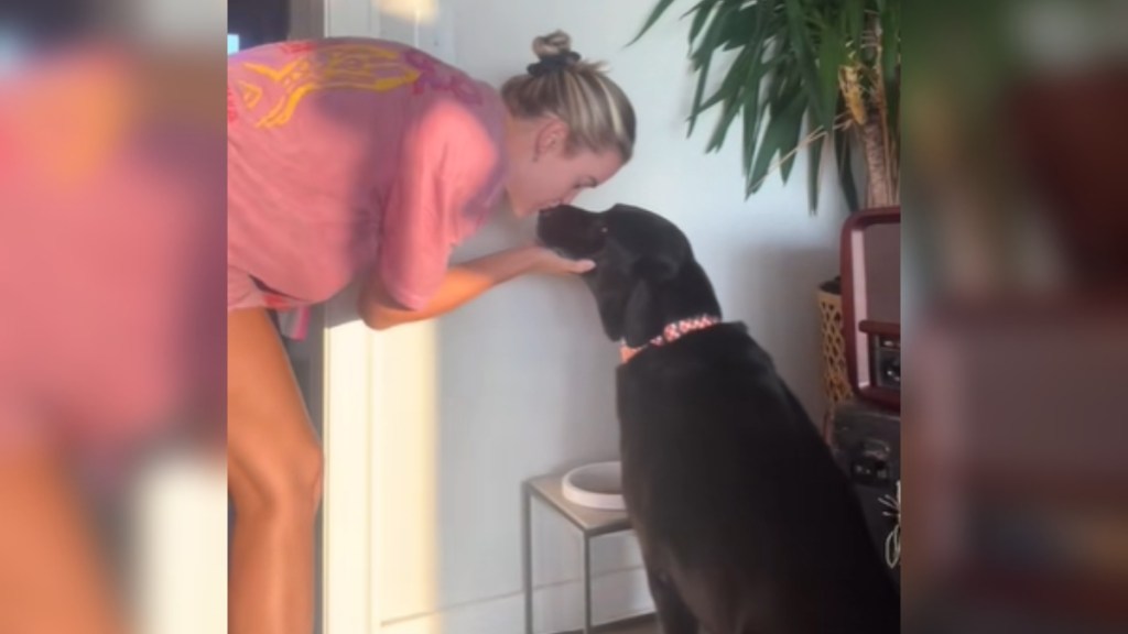 Side-view of a woman leaning down toward a large black dog. She kisses the dog gently on the nose