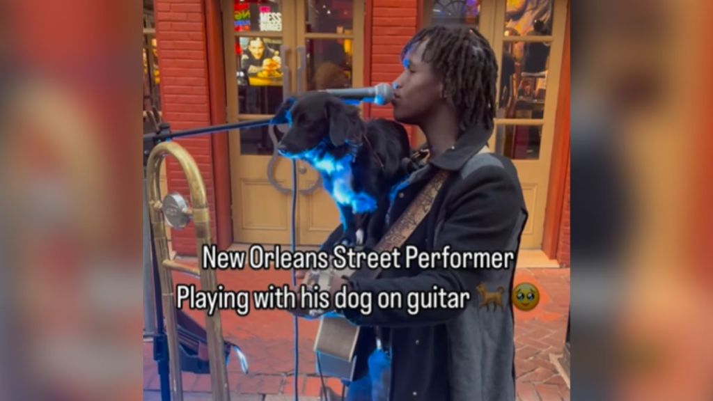 A man playing music with a dog on his guitar.