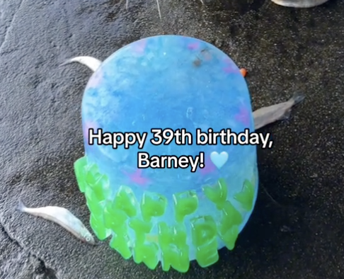 Sealebration: 39-Year-Old Harbor Seal Celebrates His Birthday In Style