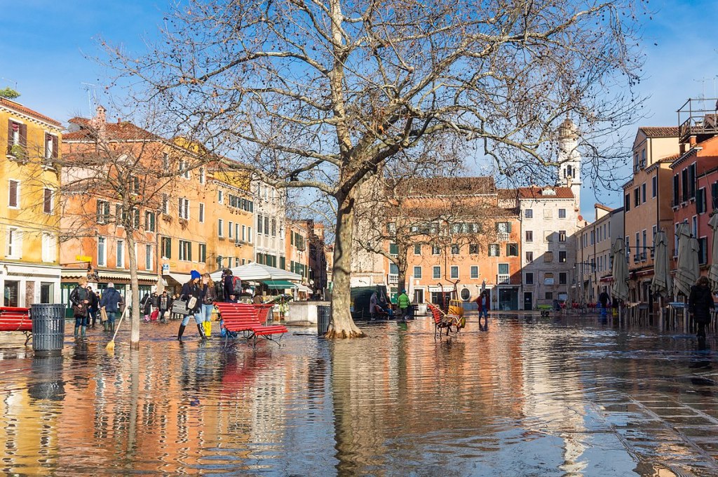 View of Campo Santa Margherita when flooded. People go about their day, walking around. There are lots of buildings and a massive tree in the middle of the open space, near benches