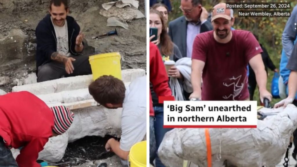 Left image shows paleontologists digging around the Big Sam fossil to free is. Right image shows a team moving the fossil after a year of digging.