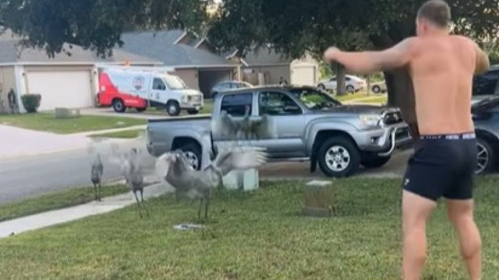 Image shows a Florida Man having a dance-off with a group of sandhill cranes.