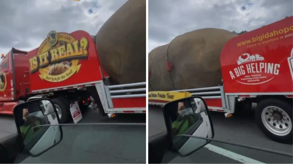 Images show the front and rear of a truck carrying the world's largest potato on a highway in Georgia.