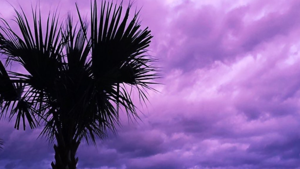 Hurricane Milton Purple Sky