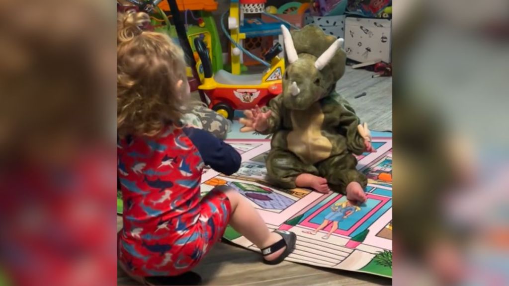 A baby wearing a dinosaur costume.