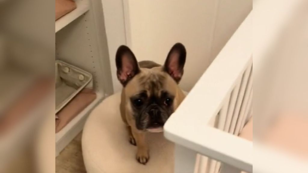 A French bulldog sitting on a chair by a crib.