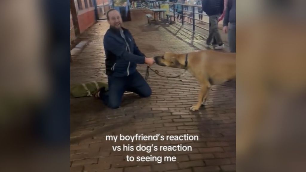 A man playing tug of war with his Great Dane.