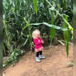 A little girl praying in a corn maze.