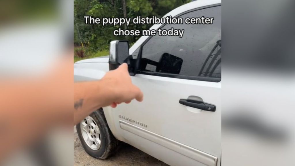 A man pointing to his truck with a text overlay about his puppy rescue.