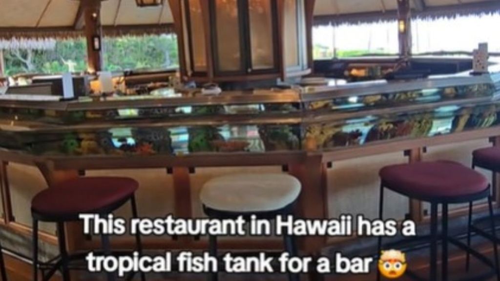 Image shows a wide-angle view of the aquarium bar in a restaurant in Hawaii.