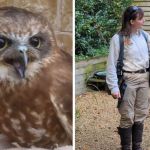 Left image is a close up of a small owl named Whisper. Right image is a handler standing with Walter as she tells the owl Halloween jokes.