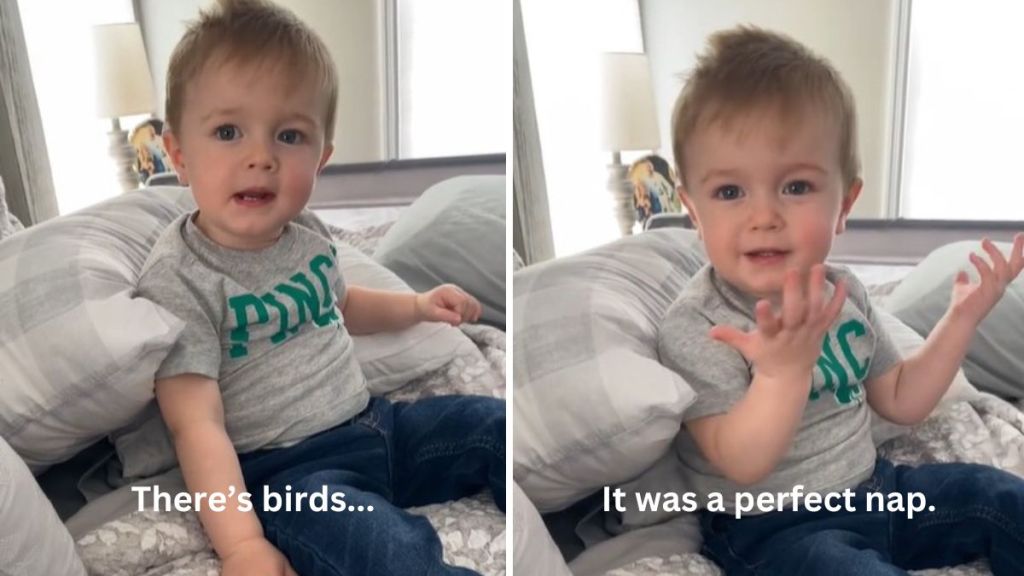 Left image shows a toddler trying to skip his nap to go see the birds outside. Right image shows the same toddler trying to convince his mom that his fake snores were the "perfect" nap.