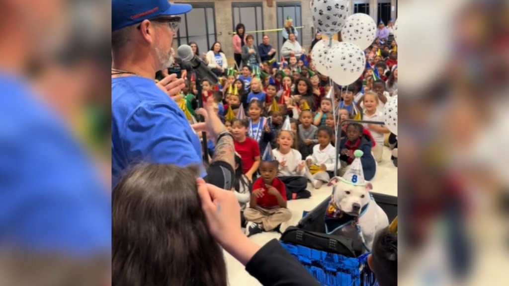 A man leads a crowd of elementary students in a song. A pit bull in a birthday hat sits in a cart, happily taking in the love