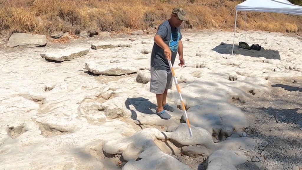 A man stands in a dried up riverbed, using a long pole to point out dinosaur tracks