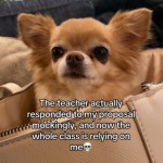 A tiny, fluffy puppy with light brown fur and large ears sits inside a purse. Text on the image reads: The teacher actually responded to my proposal mockingly, and now the whole class is relying on me